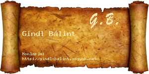 Gindl Bálint névjegykártya